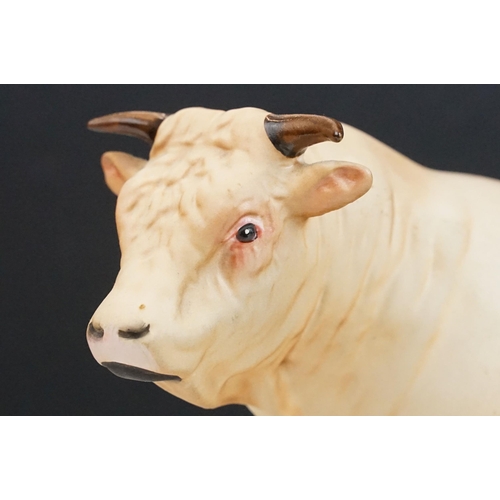 10 - Beswick Connoisseur model of a Charolais bull on wooden plinth, model no. A2600, Matt finish, 24cm l... 