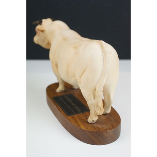 10 - Beswick Connoisseur model of a Charolais bull on wooden plinth, model no. A2600, Matt finish, 24cm l... 