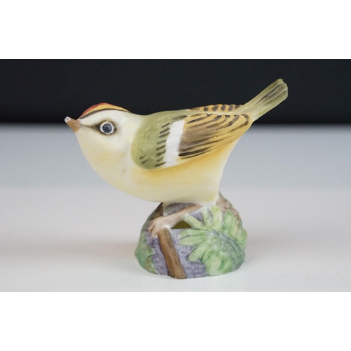 35 - Renaissance ceramic bird figurines to include Nuthatch, Bullfinch, Robin, Long Tailed Tit, Woodpecke... 