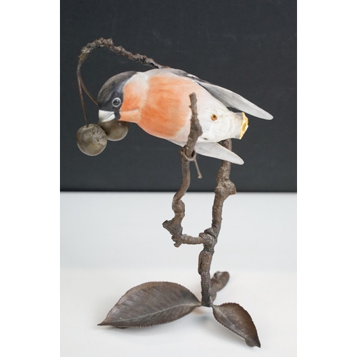 45 - Bird figurines to include Song Thrush and English Robin on wooden branch examples, signed to base, t... 