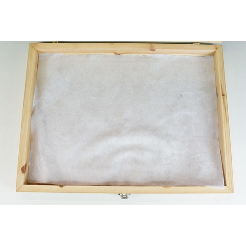 433 - Large pine glazed lift top display box with latch closure, H 7cm, W 61cm, D 46cm