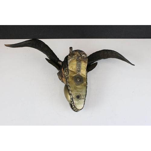 135 - Horned goat skull ornamented with metal applique and skull detail, W 27cm