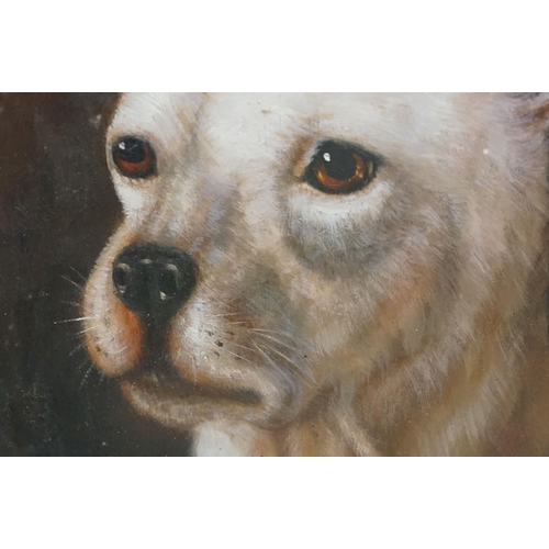 497 - Study of a white terrier dog, oil painting, 22.5 x 18cm, framed