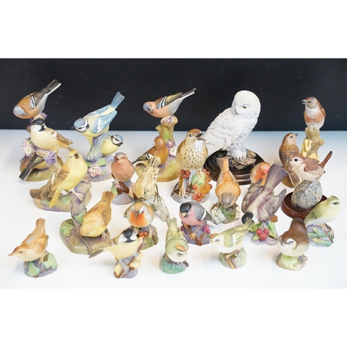 43 - Collection of Royal Worcester bird figurines to include Coal tits, Chaffinch, Gold crest, Robin, Mar... 