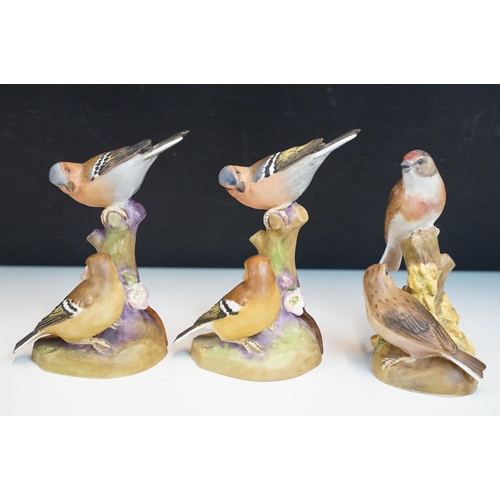 43 - Collection of Royal Worcester bird figurines to include Coal tits, Chaffinch, Gold crest, Robin, Mar... 