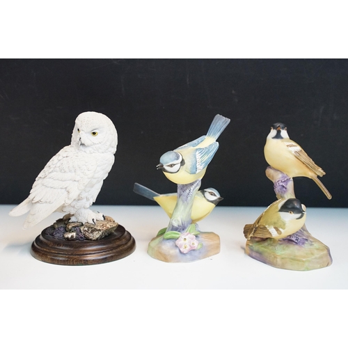 43 - Collection of Royal Worcester bird figurines to include Coal tits, Chaffinch, Gold crest, Robin, Mar... 