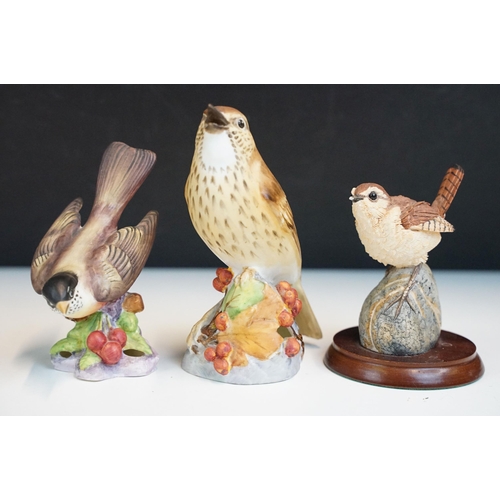 43 - Collection of Royal Worcester bird figurines to include Coal tits, Chaffinch, Gold crest, Robin, Mar... 