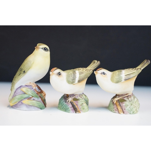 43 - Collection of Royal Worcester bird figurines to include Coal tits, Chaffinch, Gold crest, Robin, Mar... 