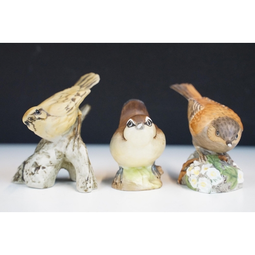 43 - Collection of Royal Worcester bird figurines to include Coal tits, Chaffinch, Gold crest, Robin, Mar... 