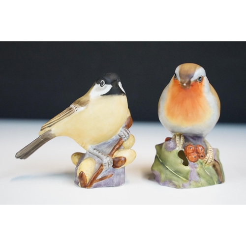 43 - Collection of Royal Worcester bird figurines to include Coal tits, Chaffinch, Gold crest, Robin, Mar... 