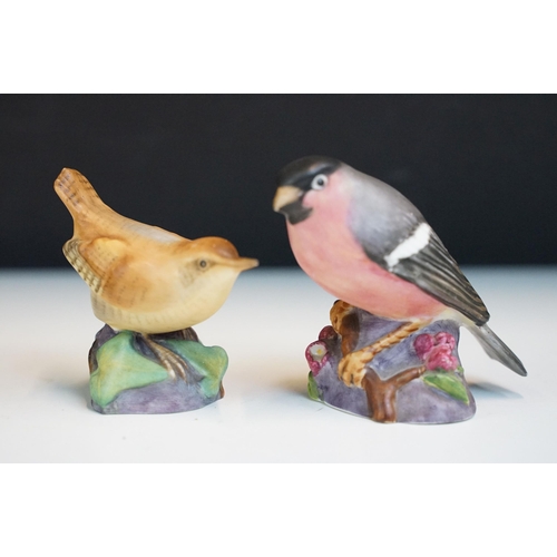 43 - Collection of Royal Worcester bird figurines to include Coal tits, Chaffinch, Gold crest, Robin, Mar... 