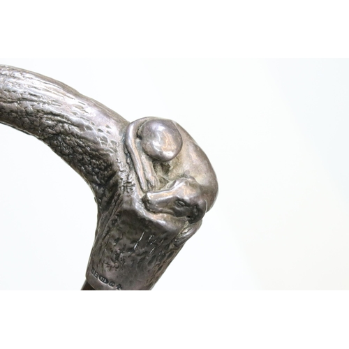 120 - Silver hallmarked handle walking stick cane modelled in the form of a resting dog on a branch, H 92c... 