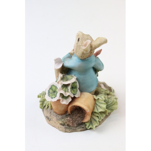 30 - Collection of Border Fine Arts Peter Rabbit figurines to include Peter Rabbit in Wheelbarrow, Peter ... 