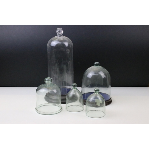 31 - Selection of five glass cloche bell jars, two with wooden bases, tallest approx. 32cm