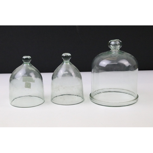 31 - Selection of five glass cloche bell jars, two with wooden bases, tallest approx. 32cm