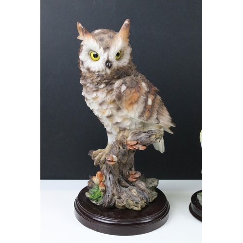 91 - Four owl figurines to include Beswick number 1046 an owl teapot and two resin cat figures