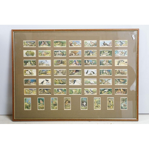 467 - Collection of framed cigarette and trade cards covering various brands and subjects to include Wills... 