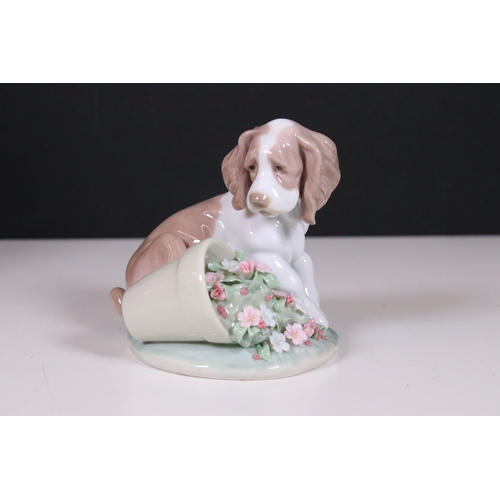 122 - Collection of Lladro and Nao dog related figurines to include 5401, Collectors Society 1989, 7612 5t... 