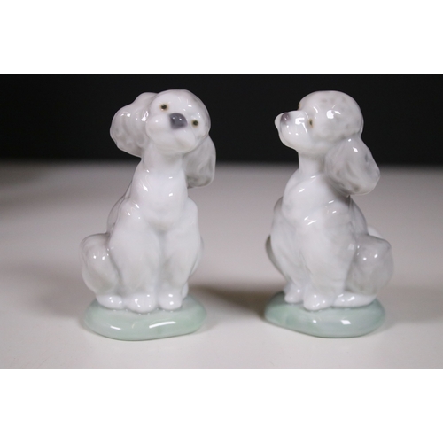 122 - Collection of Lladro and Nao dog related figurines to include 5401, Collectors Society 1989, 7612 5t... 