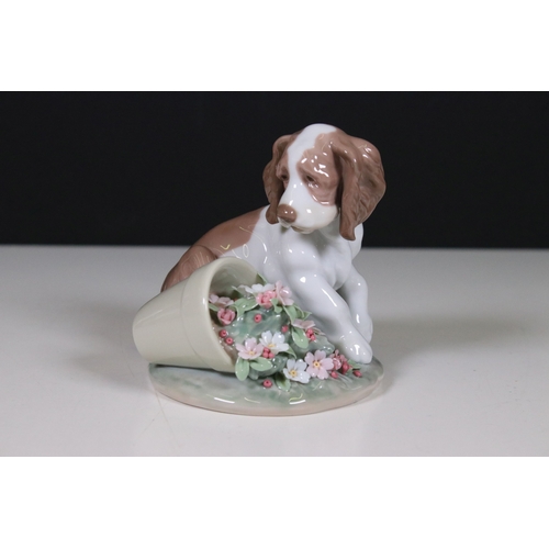 122 - Collection of Lladro and Nao dog related figurines to include 5401, Collectors Society 1989, 7612 5t... 