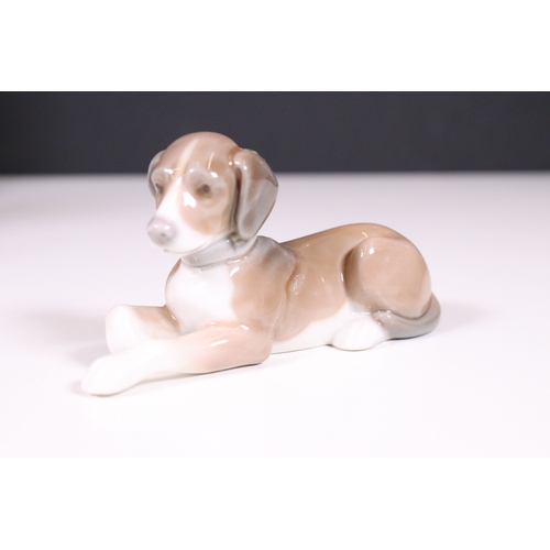 122 - Collection of Lladro and Nao dog related figurines to include 5401, Collectors Society 1989, 7612 5t... 