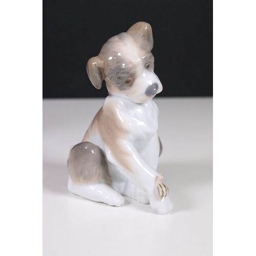 122 - Collection of Lladro and Nao dog related figurines to include 5401, Collectors Society 1989, 7612 5t... 