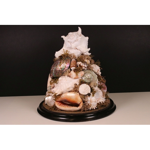 203 - Large Victorian glass display dome housing an assorted sea shell arrangement on wooden base, H 37cm