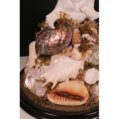 203 - Large Victorian glass display dome housing an assorted sea shell arrangement on wooden base, H 37cm