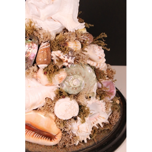 203 - Large Victorian glass display dome housing an assorted sea shell arrangement on wooden base, H 37cm