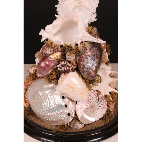 203 - Large Victorian glass display dome housing an assorted sea shell arrangement on wooden base, H 37cm