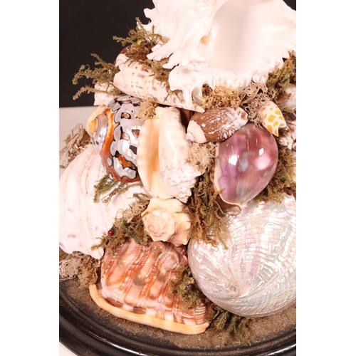 203 - Large Victorian glass display dome housing an assorted sea shell arrangement on wooden base, H 37cm