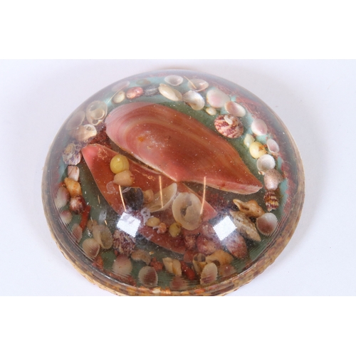 250 - An antique shell paperweight together with a snake paperweight and a cut and polished semi precious ... 