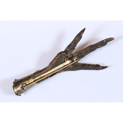 285 - An early 20th century grouse claw brooch with metal mounts.