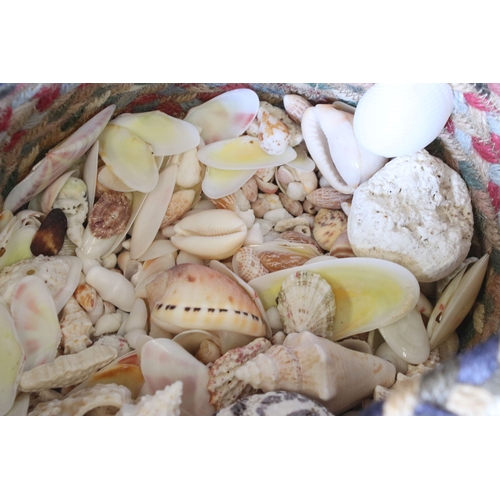 373 - A small collection of exotic shells within a woven bag.