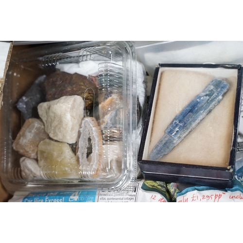 510 - Collection of fossils, rocks, crystals and stones together with four dried taxidermy bats and a smal... 