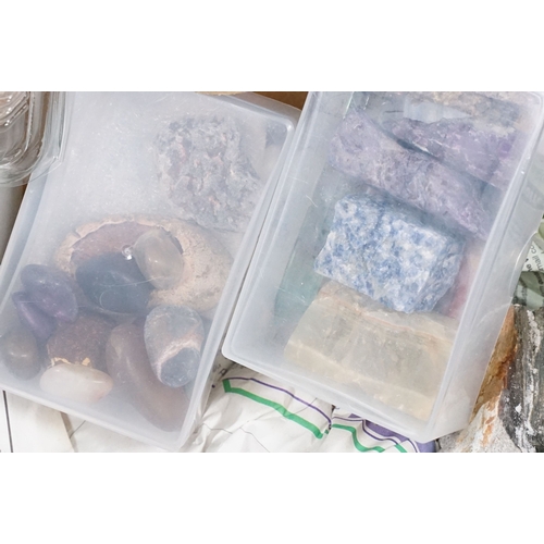 510 - Collection of fossils, rocks, crystals and stones together with four dried taxidermy bats and a smal... 