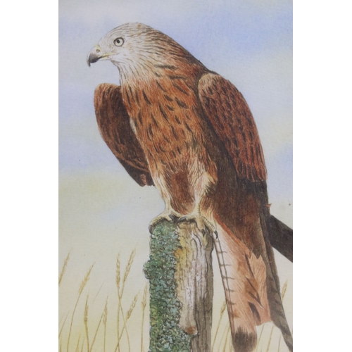 547 - V Geeson, three: Tawney Owl, embroidery, signed and titled lower right, 26 x 21cm, Nuthatch, embroid... 