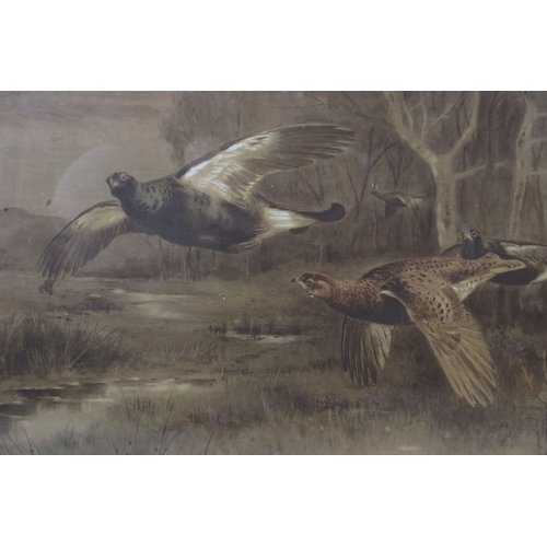 576 - 20th century English school, study of game birds in flight, watercolour, 27.5 x 41.5cm and four othe... 