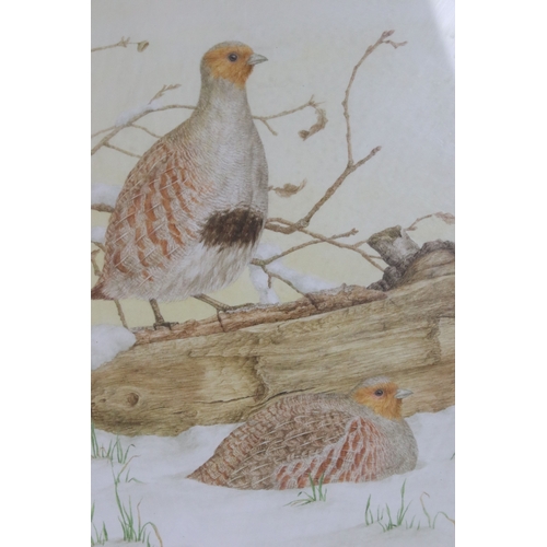 576 - 20th century English school, study of game birds in flight, watercolour, 27.5 x 41.5cm and four othe... 