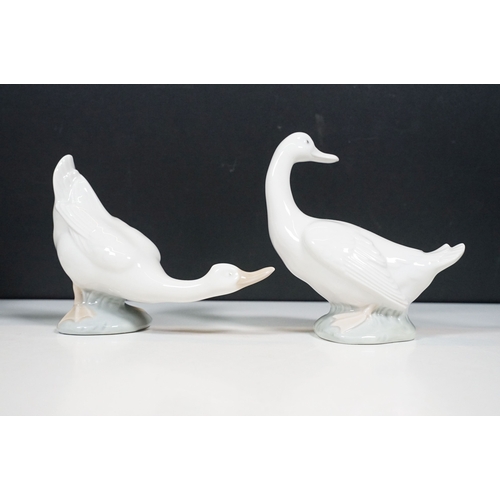 97 - Selection of Lladro and Nao geese figurines together with a Lladro Collectors Society standing plaqu... 