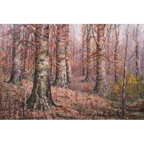 630 - 20th century English school, Autumnal woodland scene, oil on canvas, 75 x 100cm, gilt framed