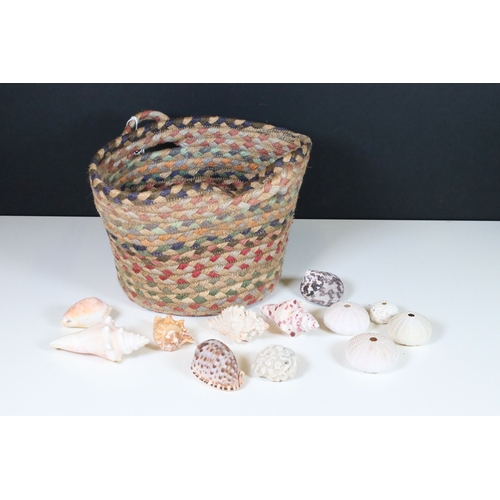 373 - A small collection of exotic shells within a woven bag.