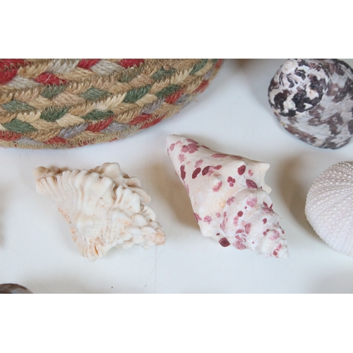 373 - A small collection of exotic shells within a woven bag.