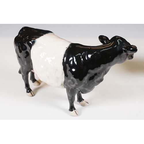 56 - Beswick 'Belted Galloway' cow figurine in gloss finish, H 13.5cm together with a Beswick Hereford Bu... 