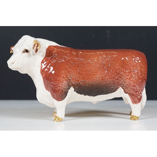 56 - Beswick 'Belted Galloway' cow figurine in gloss finish, H 13.5cm together with a Beswick Hereford Bu... 