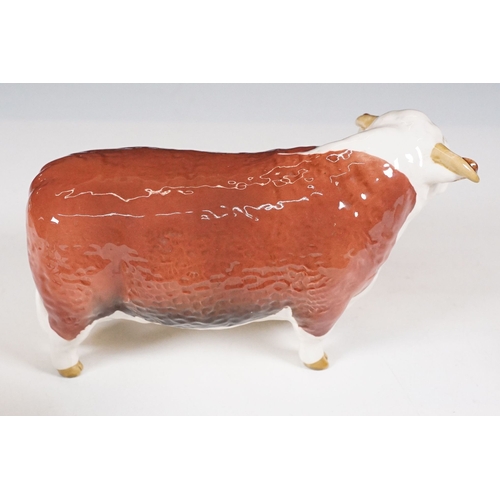 56 - Beswick 'Belted Galloway' cow figurine in gloss finish, H 13.5cm together with a Beswick Hereford Bu... 