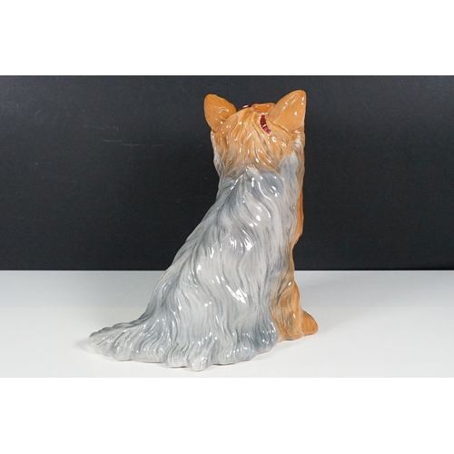 62 - Beswick large Yorkshire Terrier 2377 figurine, H 25.5cm