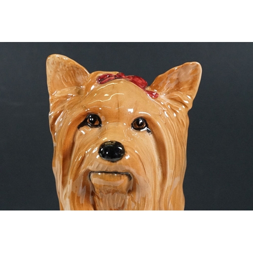 62 - Beswick large Yorkshire Terrier 2377 figurine, H 25.5cm