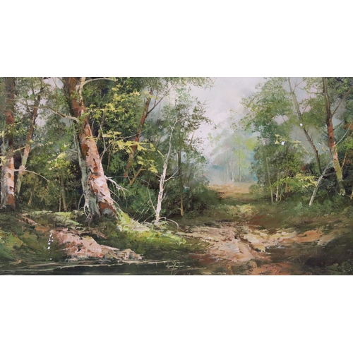 577 - 20th century landscape scene, woodlands, oil on canvas, indistinctly signed lower right, possibly F ... 