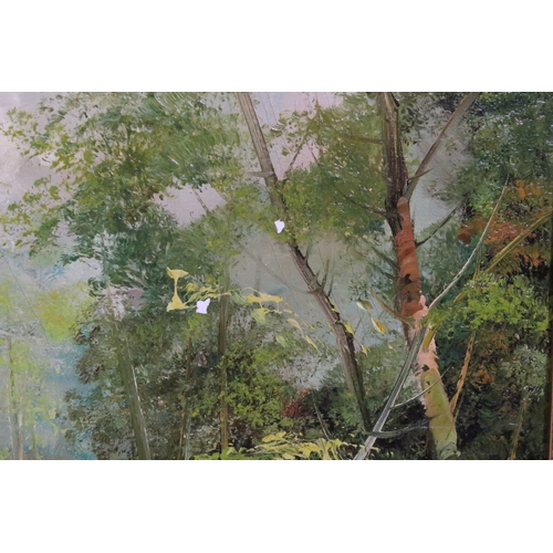 577 - 20th century landscape scene, woodlands, oil on canvas, indistinctly signed lower right, possibly F ... 